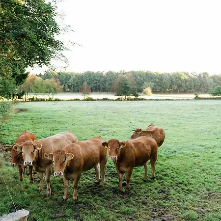 Spacious Holiday Near River In Beckedorf *