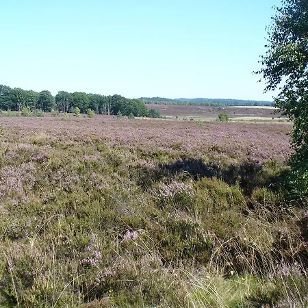 Spacious Holiday Near River In Beckedorf